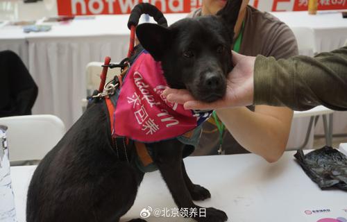 为了适应这种变化人们需要学会如何平衡线上线下的生活一方面要充分利用线上资源和平台享受其带来的便利张女