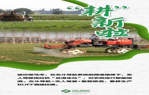 阿里启动AI全面革新计划开发重磅AI应用